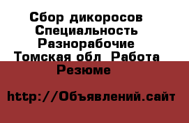 Сбор дикоросов › Специальность ­ Разнорабочие - Томская обл. Работа » Резюме   